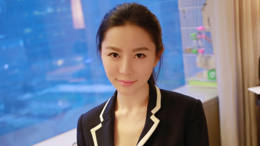 XCSEO蜘蛛屯搜索SEO排名优化策略