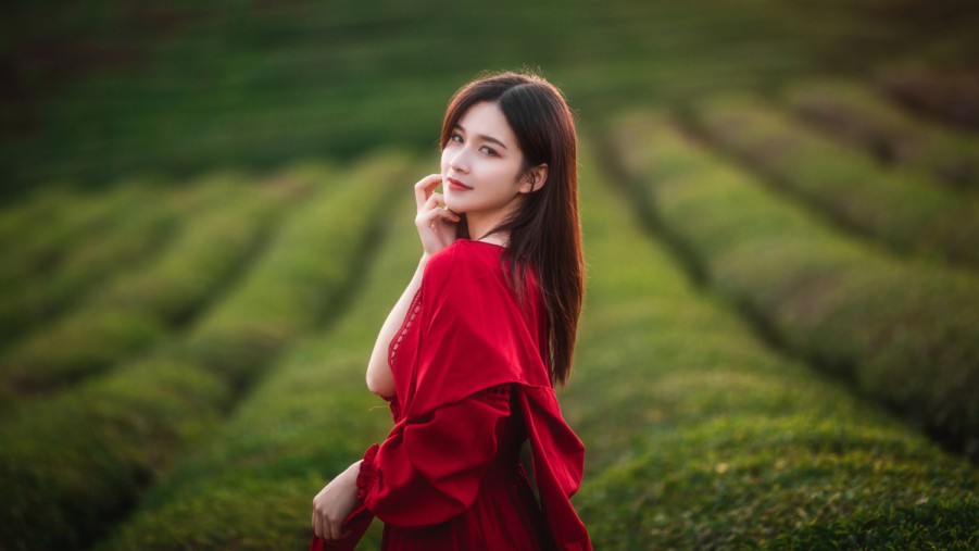 pXCSEO台州seo营销技巧排名提升指南p