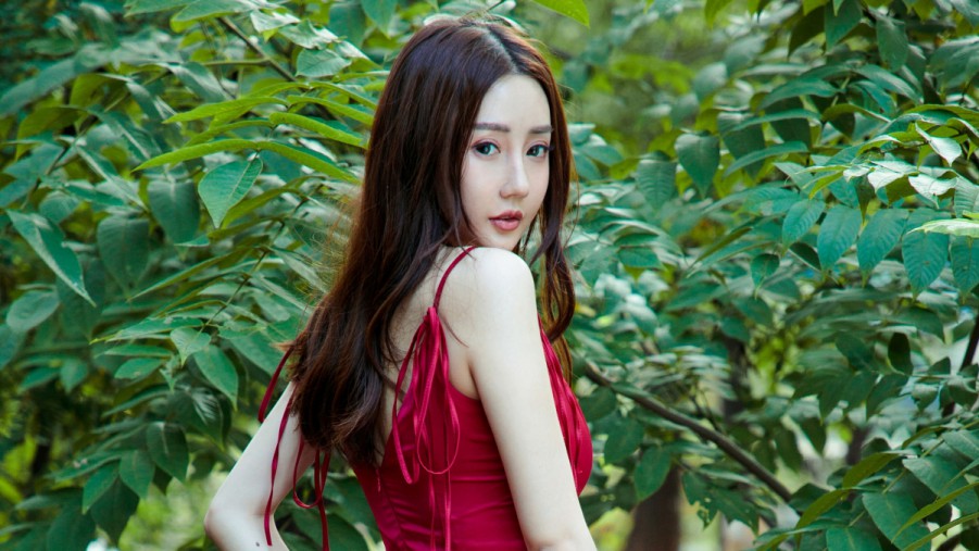 XCSEO抚顺SEO优化排名报价指南如何获得最佳性价比服务