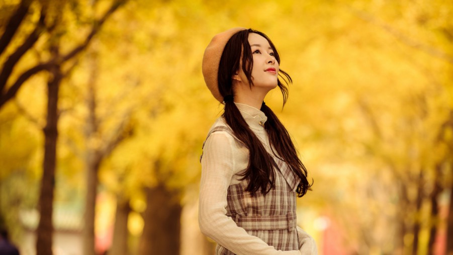 pXCSEO到底要做什么排名p